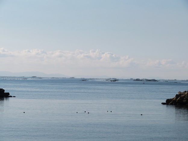 Photos: 播磨灘の海苔採取舟
