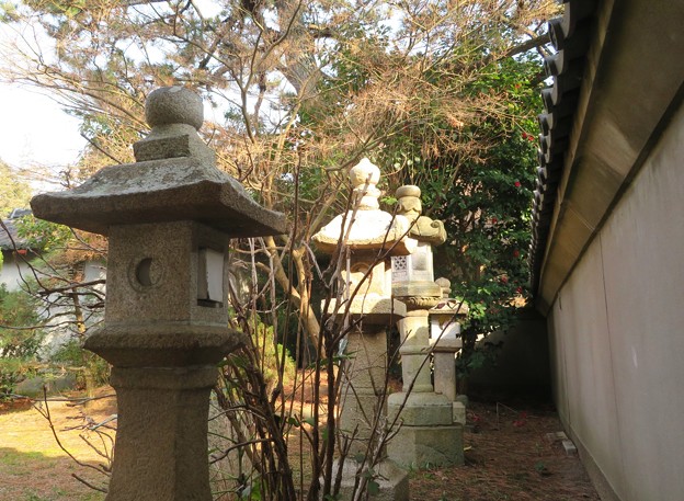 Photos: 住吉神社の石灯籠