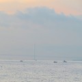 写真: 薄靄の明石海峡大橋と漁船