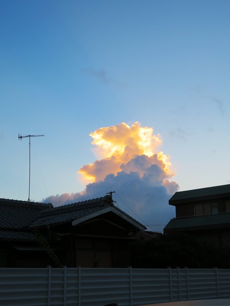 写真: 朝日に照らされた積乱雲