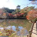 IMG_231121 (45)　森林植物園の長谷池