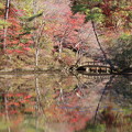 写真: IMG_231121 (74)　森林植物園の長谷池