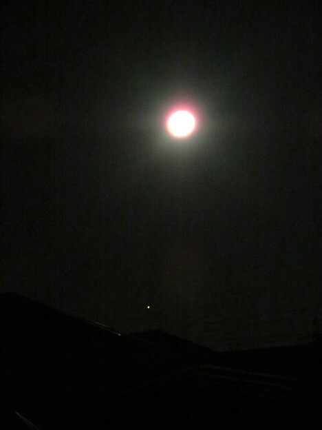 IMG_231126 (1) 夜明け前の月と木星