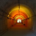 IMG_231121 (162)　森林公園　青葉トンネル