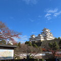 IMG_231201 (107)　晩秋の姫路城