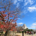IMG_231201 (110)　晩秋の姫路城