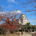 IMG_231201 (112)　晩秋の姫路城