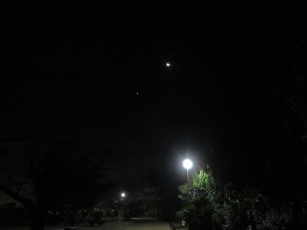 写真: IMG_231209 (8)　月と明星と街灯