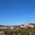 IMG_231201 (252)　晩秋の姫路城