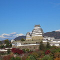 IMG_231201 (253)　晩秋の姫路城