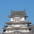 IMG_231201 (256)　晩秋の姫路城