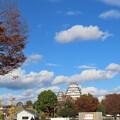IMG_231201 (265)　晩秋の姫路城