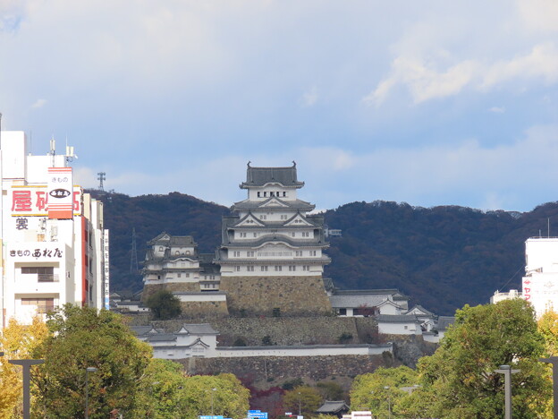 IMG_231201 (269)　晩秋の姫路城