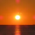 IMG_231213 (31)播磨灘の夕陽