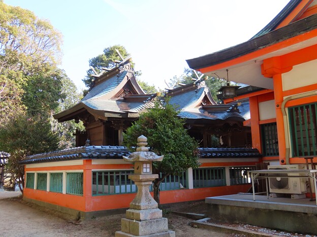 IMG_240130 (39)　住吉神社の神殿