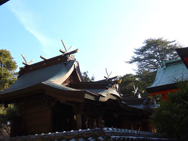 IMG_240130 (41)　住吉神社の神殿
