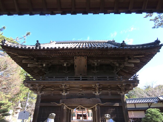 写真: IMG_240302 (42)　住吉神社楼門