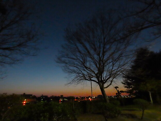 写真: IMG_240311 (6)　夜明けの散歩道