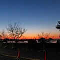 写真: IMG_240311 (10)　海浜公園の夜明け