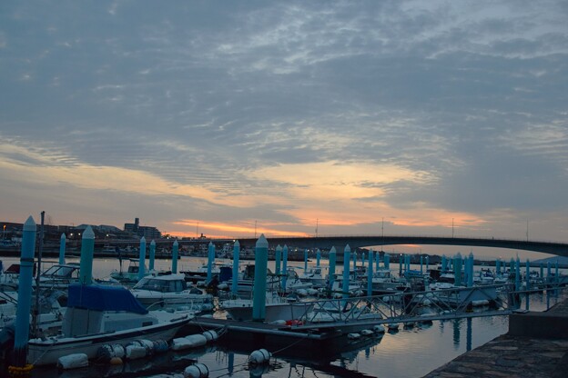 写真: IMG_240328 (5)　ボートパークの夜明け