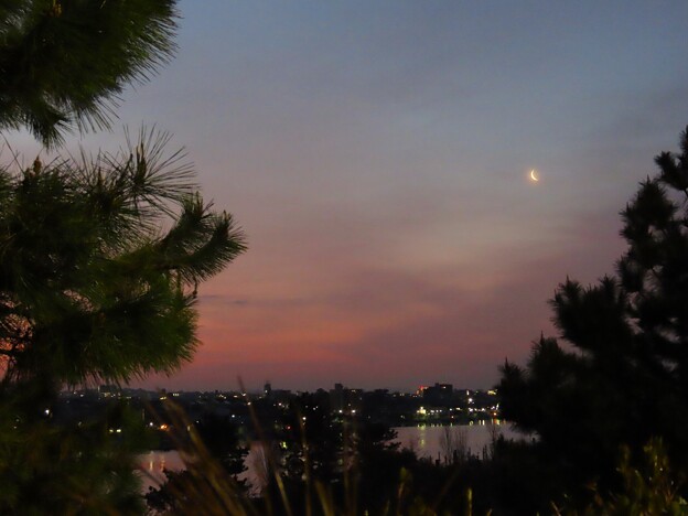 写真: IMG_240406 (9)　有明月と夜明け