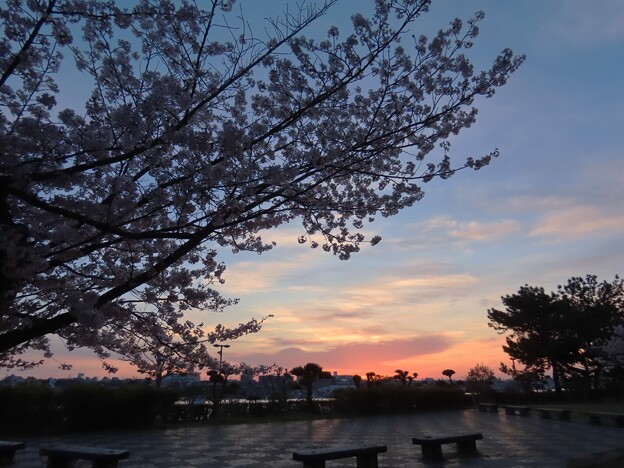 IMG_240413 (25)　海浜公園の夜明け