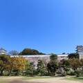IMG_240410 (154)　明石城の桜