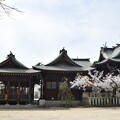 写真: IMG_240411 (18)　御厨神社の桜