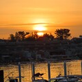 写真: IMG_240420 (4)　ボートパークの日の出