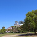 写真: IMG_240410 (160)　明石公園の桜