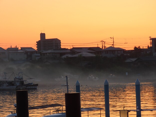 写真: IMG_240425 (11)　漁港の朝靄