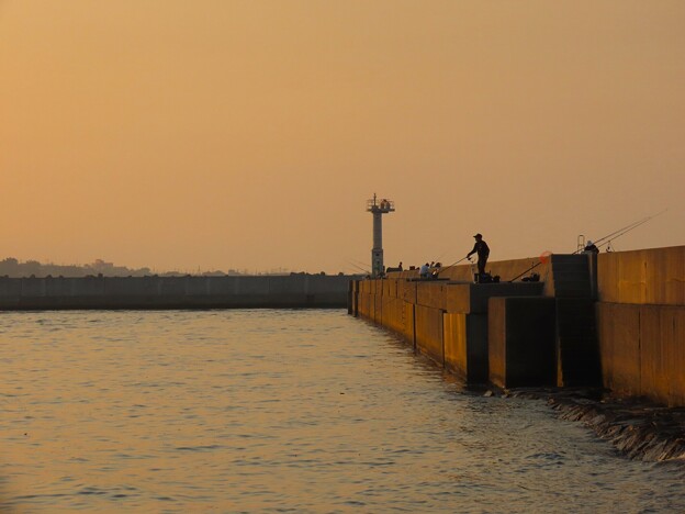 写真: IMG_240428 (30)　防波堤の釣り人