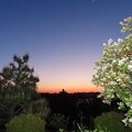 写真: IMG_240510 (5)　東展望台の夜明け