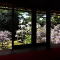 Photos: 長慶院・額縁庭園（本堂から）2