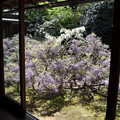Photos: 長慶院・本堂縁側から庭園2