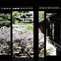 Photos: 長慶院・額縁庭園（書院から）1