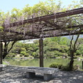 Photos: 京セラ美術館・庭園1