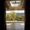 Photos: 京セラ美術館より庭園3