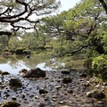 Photos: 平安神宮・東神苑への流れ
