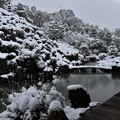 Photos: 智積院・庭園（奥から眺める）3