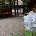 Photos: 赤山禅院
