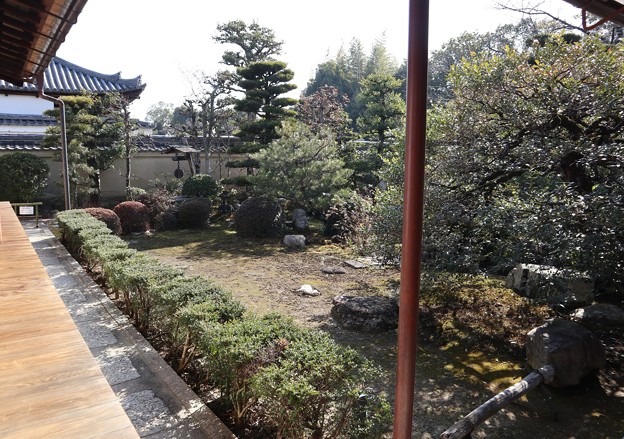 Photos: 壽聖院・庭園1