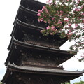 写真: 東寺・五重塔1
