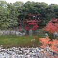Photos: 万博記念公園・日本庭園（深山の泉）3