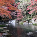 Photos: 万博記念公園・日本庭園（木漏れ日の滝）3