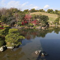 万博記念公園・日本庭園（心字池）