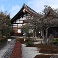 写真: 京の冬の旅1　慈雲院・庫裏前庭