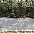 京の冬の旅1　慈雲院・方丈前庭3
