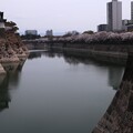 写真: 大阪城2