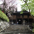 長谷寺・本堂への石段2